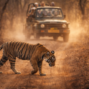 Ranthambore National Park, Rajasthan